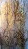 installation-foret-vierge-120x250cm